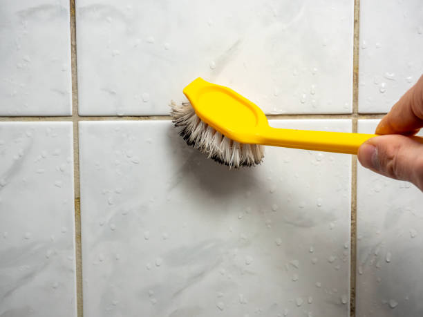 Best Toxic Mold Removal  in Woodland, CA