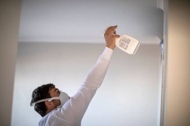 Best Mold Testing  in Woodland, CA