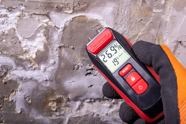 Best Mold Cleaning Services  in Woodland, CA