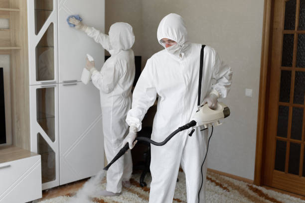 Certified Mold Removal in Woodland, CA
