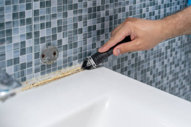 Best Best Mold Removal Companies  in Woodland, CA