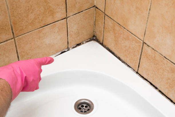 Best Emergency Mold Removal  in Woodland, CA